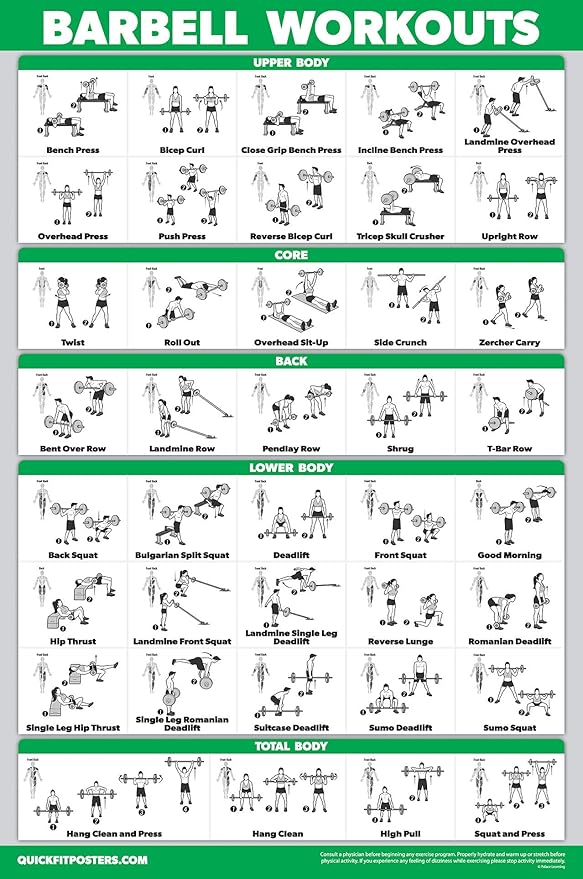 Palace Learning 4 Pack - Dumbbell Workout Posters Volume 1, 2 & 3 + Barbell Exercise Chart - Set of 4 Posters (LAMINATED, 18" x 24")