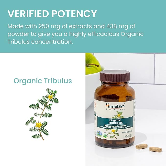 Himalaya Organic Tribulus Terrestris, Herbal Supplement for Urinary Support and Flow, Bladder Function, Prostate Support, Stamina, Male Energy, Non-GMO, USDA Organic, Vegan, 688 mg, 60 Caplets