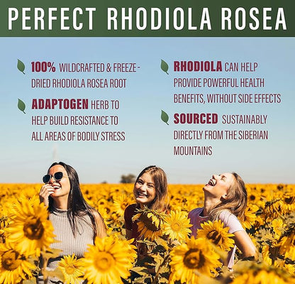 Perfect Rhodiola Rosea, for Better Focus, Energy, and Stress Relief, Optimal 3% Rosavins to 1% Salidroside Ratio, a Natural Adaptogen ~60 Vegetable Capsules