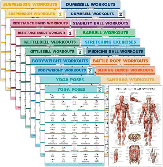 Palace Learning 20 Pack - Exercise Poster Set: Dumbbell, Suspension, Battle Rope, Stretching, Bodyweight, Barbell, Yoga, Exercise Ball - (LAMINATED, 18” x 24”)