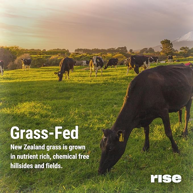 Rise Grass-Fed Whey Protein Powder - Sample Chocolate Almond | 25g Protein No Artificial Flavors, Colors, or Preservatives - Sugar Free, Gluten-Free, Soy Free (Single Serving)