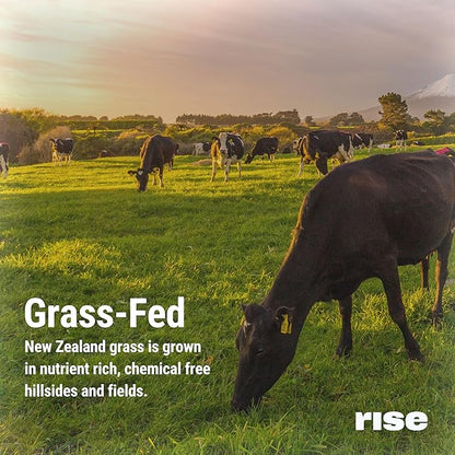 Rise Grass-Fed Whey Protein Powder - Sample Chocolate Almond | 25g Protein No Artificial Flavors, Colors, or Preservatives - Sugar Free, Gluten-Free, Soy Free (Single Serving)