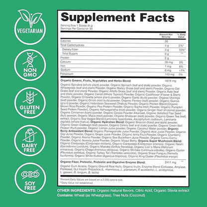 Zena Organic Super Greens Powder, 70+ Superfoods Drink Mix, 0 Sugar, 3G Fiber, Fruits, Veggies, Spirulina, Chlorella, Antioxidants, Pre & Probiotics, Digestive Enzymes, Mixed Berry Flavor, 30 Servings