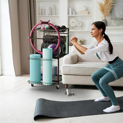 Home Gym Workout Equipment Storage system - Ideal