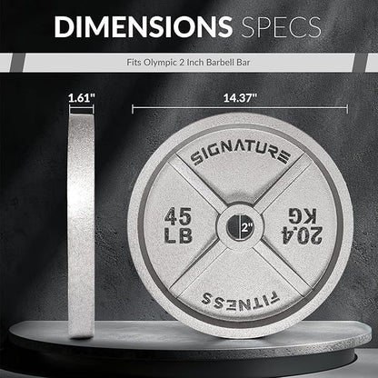 Deep Dish 2-Inch Olympic Cast Iron Weight Plates with E-Coating