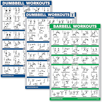 Palace Learning 3 Pack: Dumbbell Workouts Posters Volume 1 & 2 + Barbell Exercises - Set of 3 Workout Charts