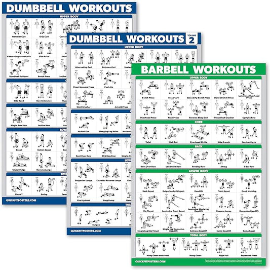 Palace Learning 3 Pack: Dumbbell Workouts Posters Volume 1 & 2 + Barbell Exercises - Set of 3 Workout Charts